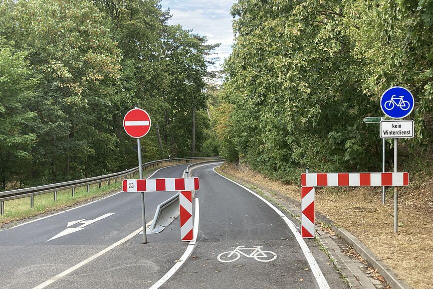 Dreißigackerer Straße mit Radspur bergab