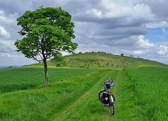 Fahrrad in einer grünen Landschaft mit markantem Baum und Hügel im Hintergrund.