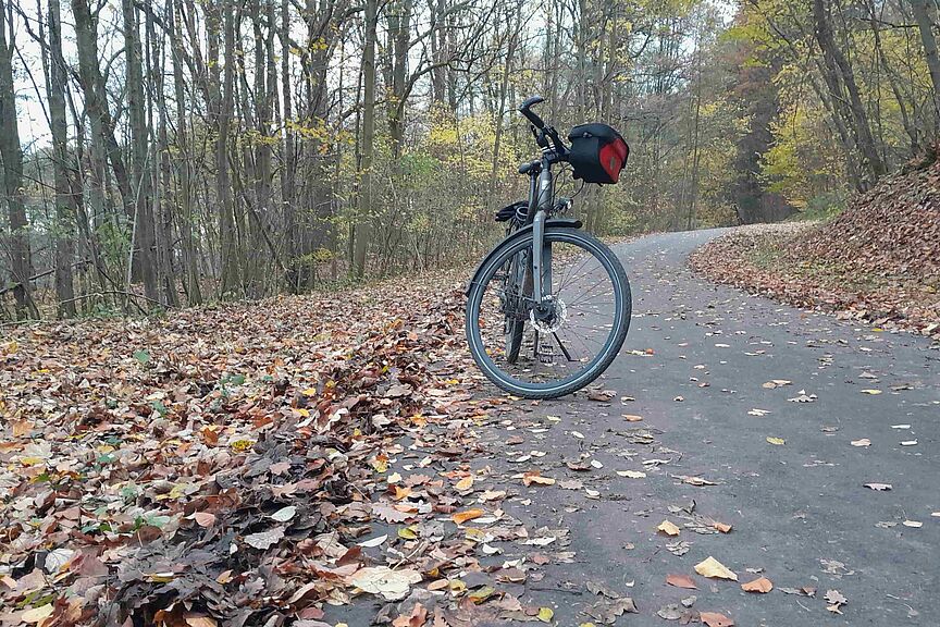 Gekehrter Siebenborn Am Siebenborn wird gekehrt. Keine Blätter mehr, und auch keine Sturzgefahr per Rad im Herbst.